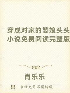 穿成對家的婆娘頭頭小說免費閱讀完整版