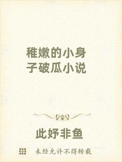稚嫩的小身子破瓜小說(shuō)