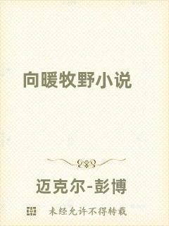 向暖牧野小說