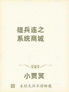 雄兵連之系統商城