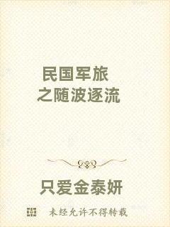 民國(guó)軍旅之隨波逐流