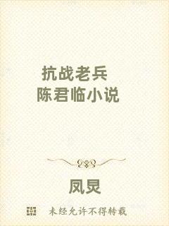 抗戰老兵陳君臨小說