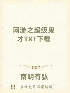 網游之超級鬼才TXT下載