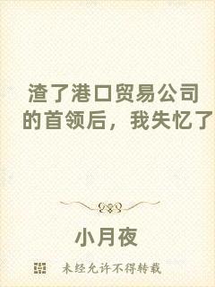 渣了港口貿易公司的首領后，我失憶了