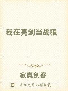 我在亮劍當戰狼