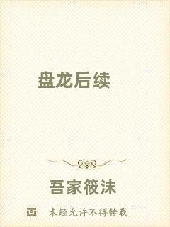 盤龍后續