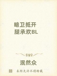 暗衛抵開腿承歡BL