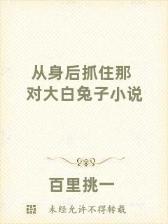 從身后抓住那對大白兔子小說