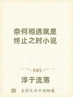 奈何相遇就是終止之時小說